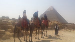 camel ride with a trusted camel driver